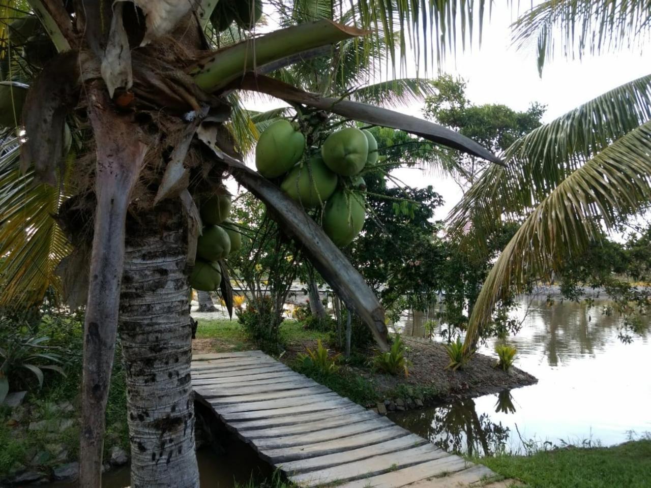 Residencial Lagoa Da Praia Alcobaça Kültér fotó